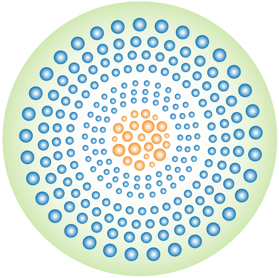 Princeton Functional Medicine