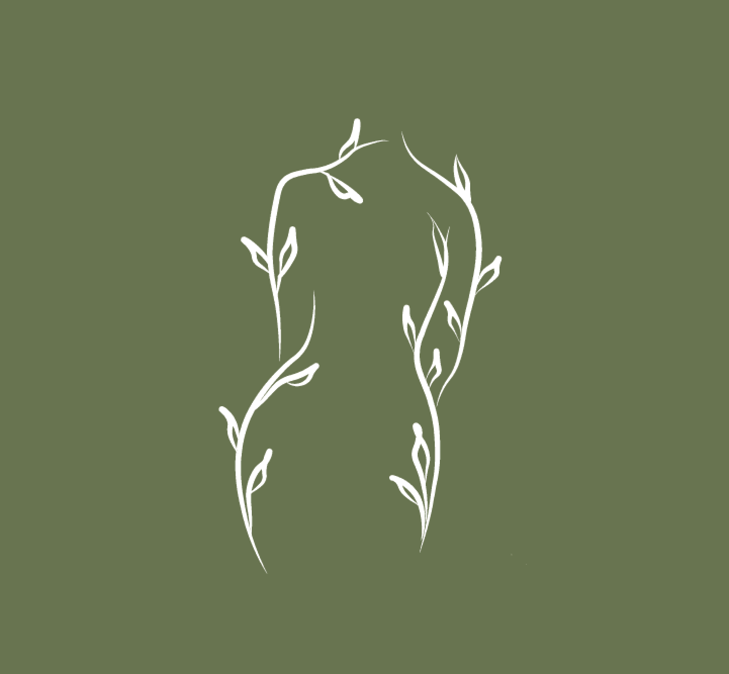 Evolve Gynecology