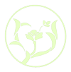 Solace Health logo