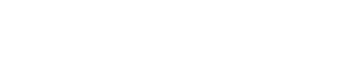 Northwestern Medicine Executive Health logo