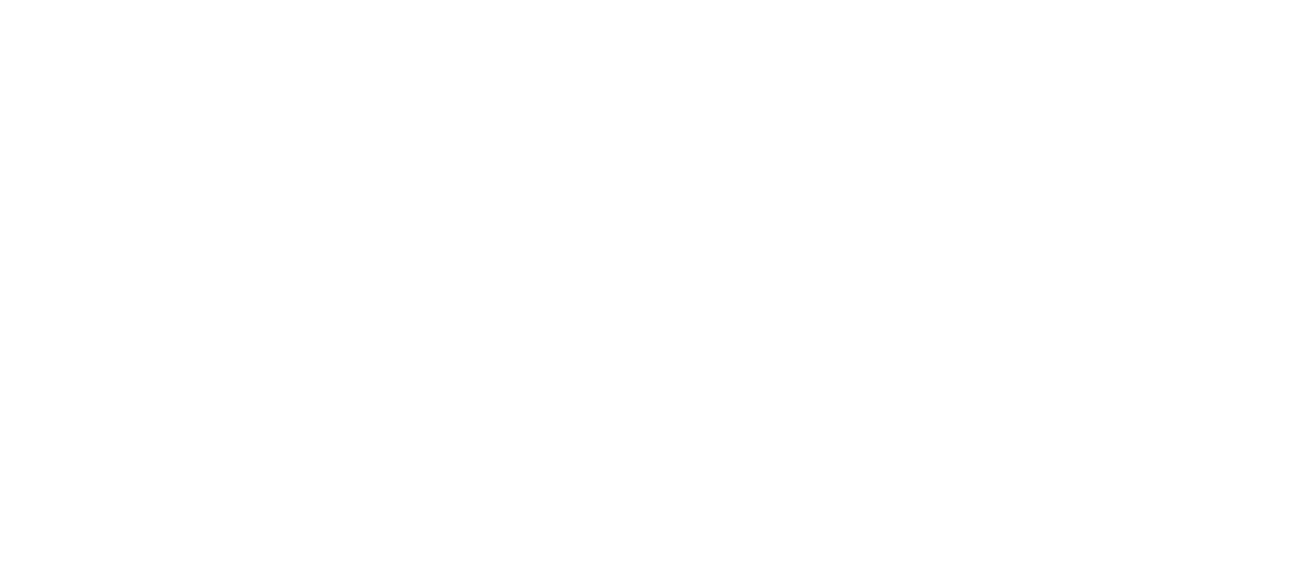 Blue Sky MD Health logo