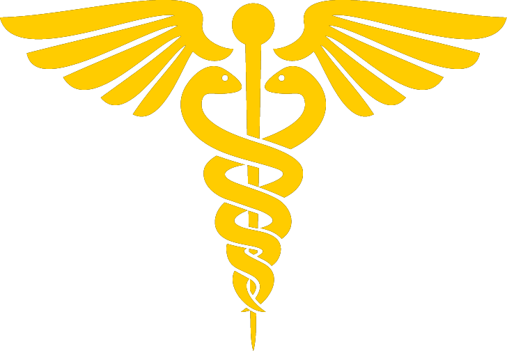 Dr. Kat VIPS PLLC