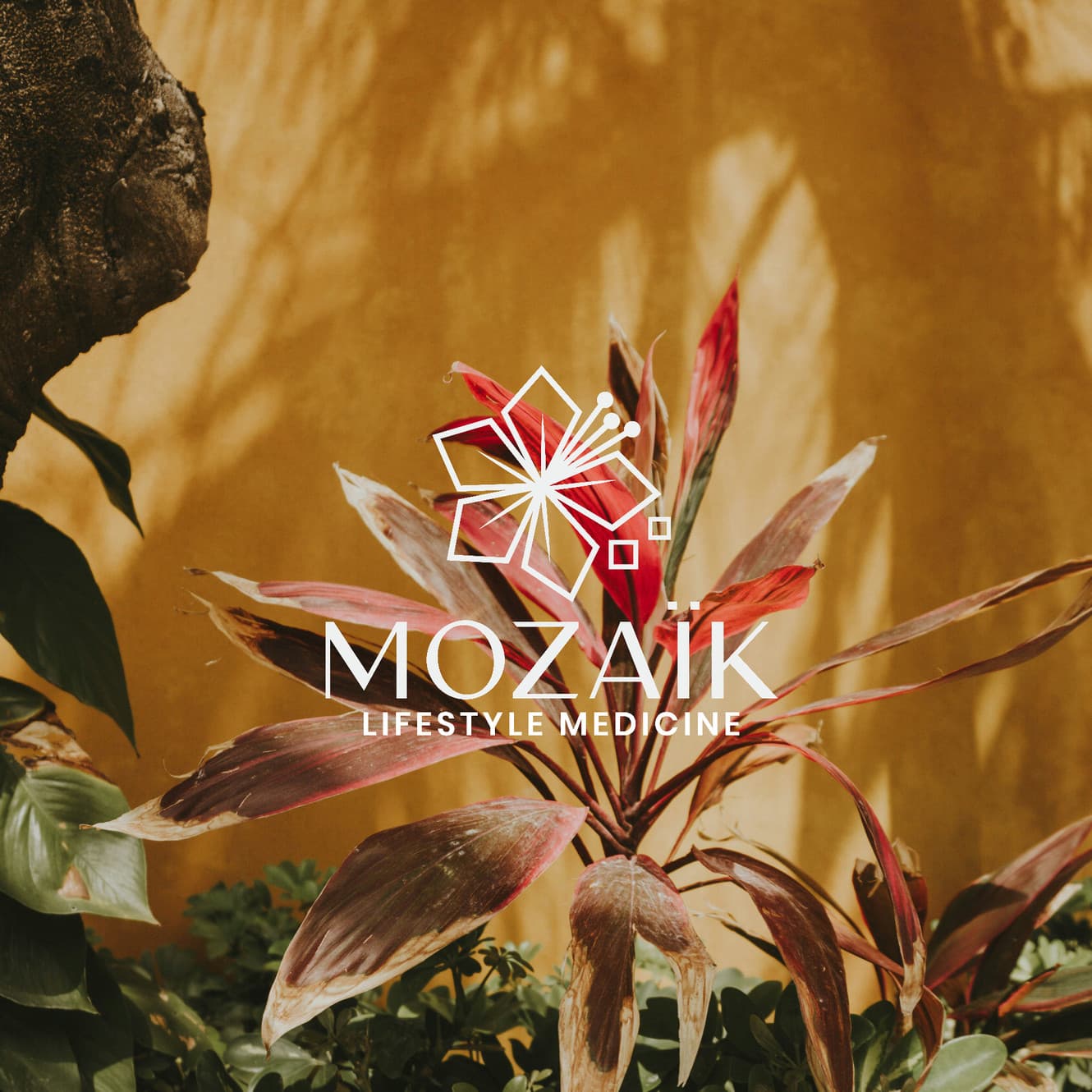 Mozaïk Lifestyle Medicine