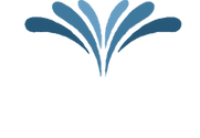 Wellspring Direct Care logo