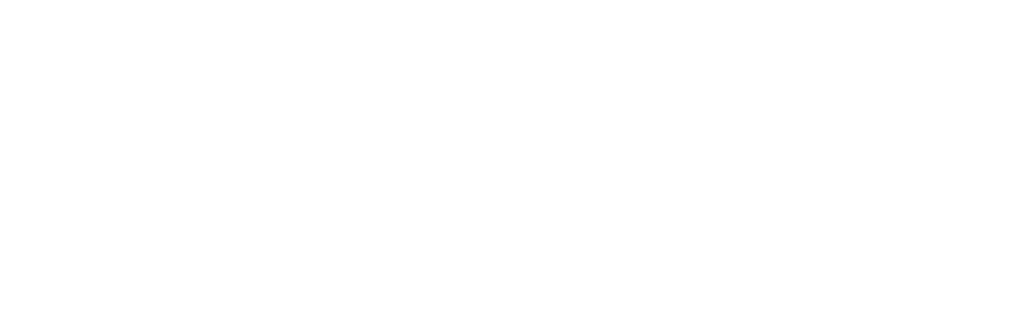 Hibiscus Aesthetics & Wellness logo