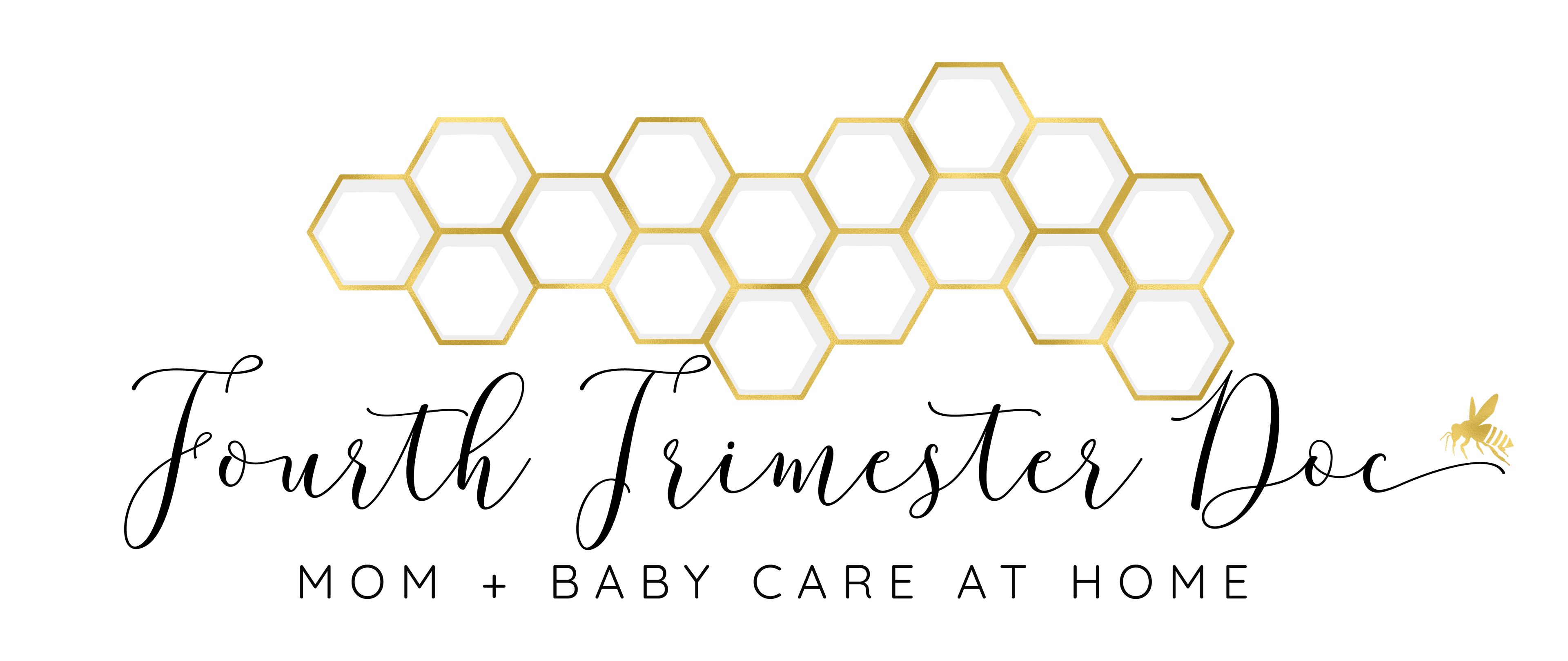 Fourth Trimester Doc logo