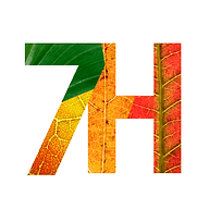 Seven Hills Family Medicine logo