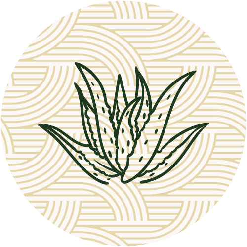 Jumuiya Holistic Health