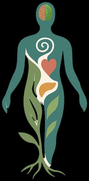 Whole Human Health