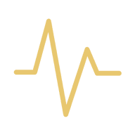 Paradigm Primary Care & Wellness logo