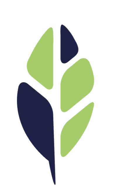 Integrated Rheumatology Care logo