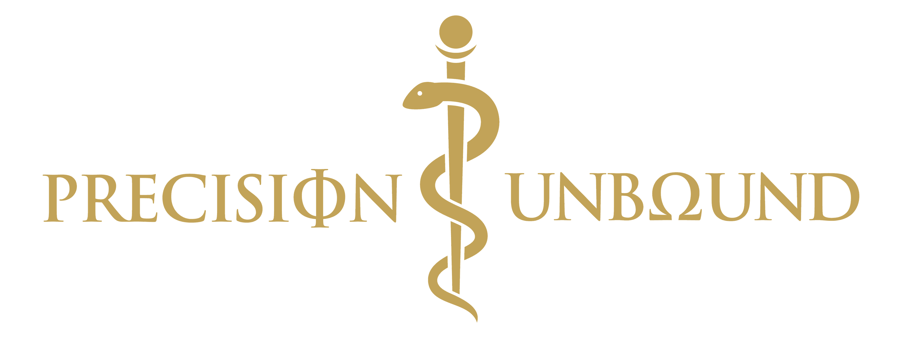 Precision Unbound logo