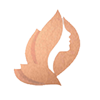 De Silva Medical logo